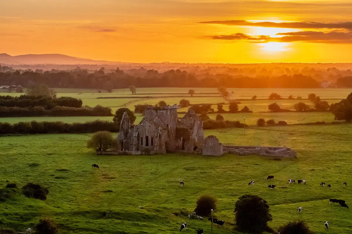 The ruins of Hore Abbey in a field below the Rock of Cashel